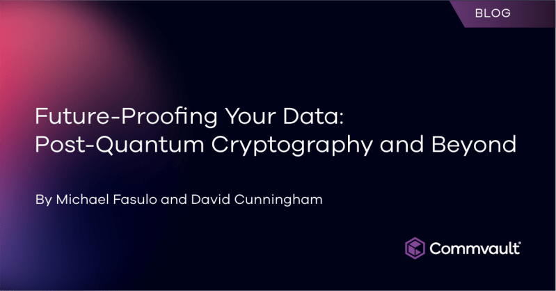 Future-Proofing Your Data: Post-Quantum Cryptography and Beyond?