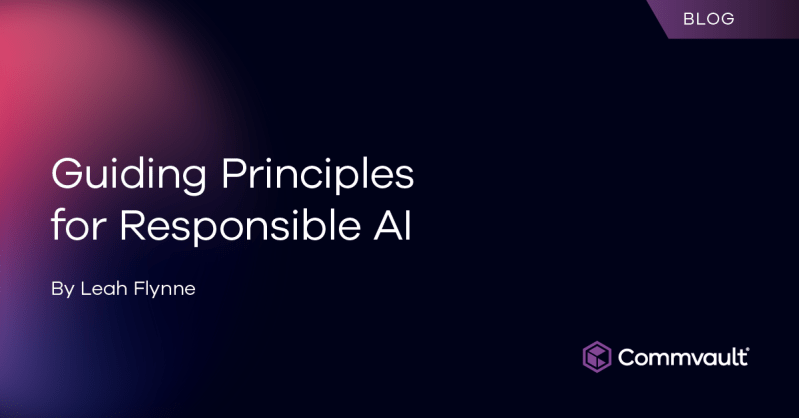 Guiding Principles for Responsible Artificial Intelligence